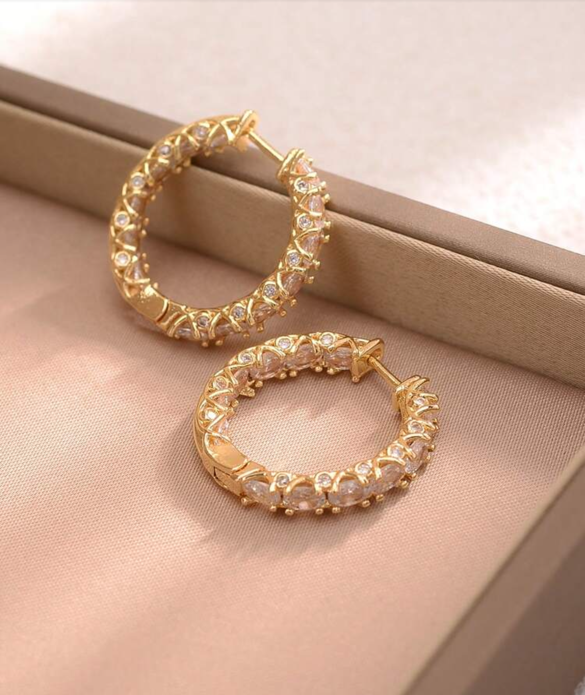 Elegant Earring’s