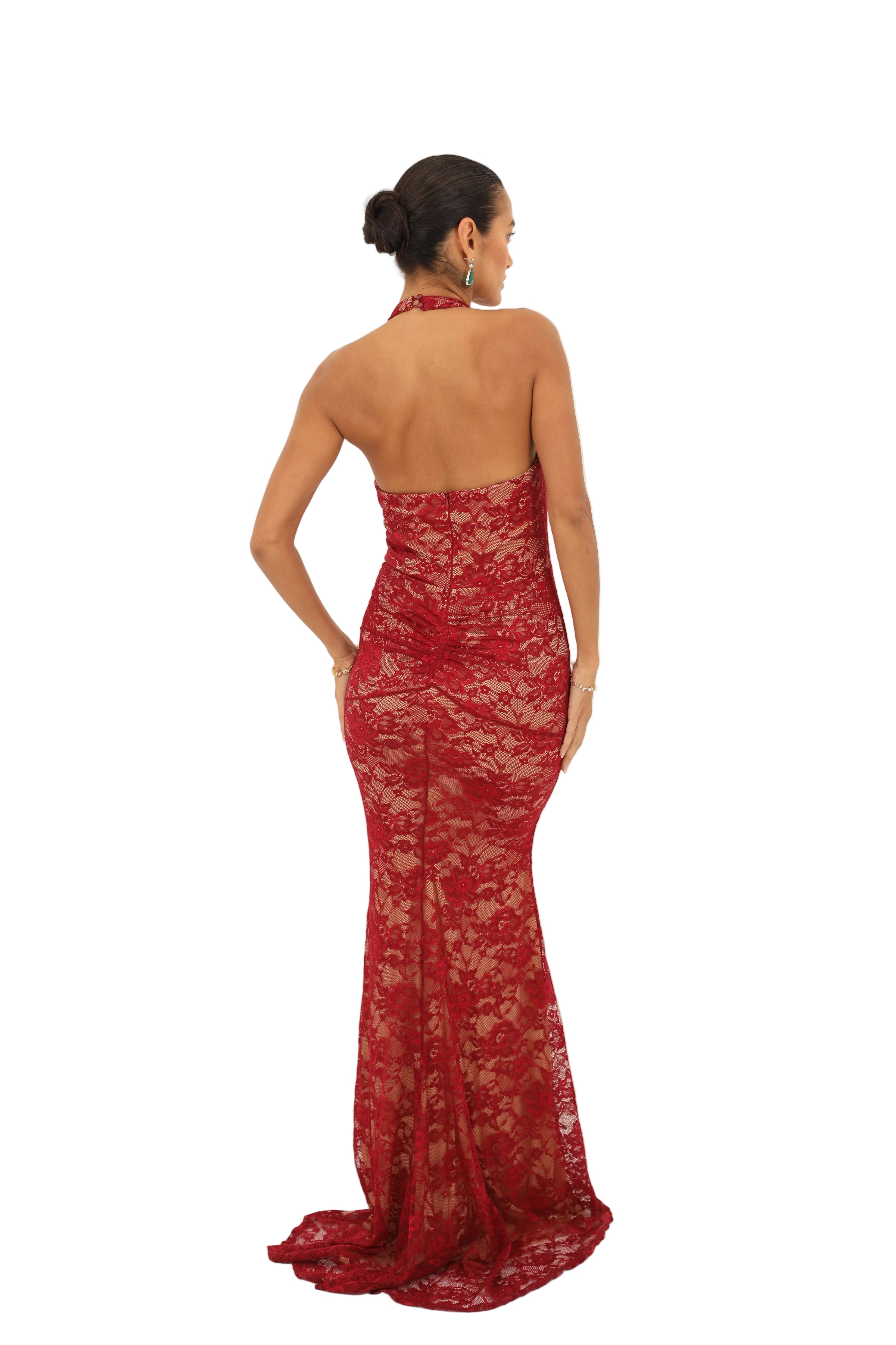 Lace & Rose Dress